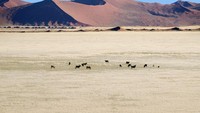 Lokasinya berada di pesisir Namibia di sebelah barat lautnya. Wilayah yang berbatasan langsung dengan Samudera Atlantik (Dok. Skeleton Coast Safaris)