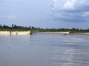 Yuk, Saksikan Kehebohan Festival Pacu Jalur Teluk Kuantan Riau