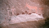 Biayanya dipatok seharga USD 7.260 atau setara Rp 94,8 juta selama 4 hari 3 malam, itu pada tahun 2016 (Dok. Skeleton Coast Safaris)