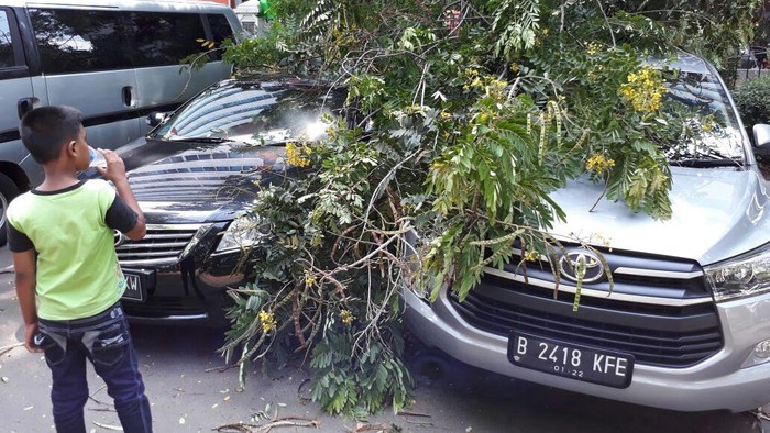Dua Mobil Rusak Tertimpa Pohon di Kuningan