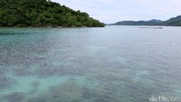Lautan dangkal berwarna hijau dengan aneka terumbu karang, pantai pasir putih, pepohonan kelapa, adalah pemandangan lumrah di Kepulauan Anambas.