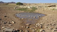 Suku Bushmen yang merupakan penduduk asli Namibia, pada abad ke-15 yang menetap di sekitar Skeleton Coast memilih angkat kaki. Selain akses yang sulit kemana-mana, wilayahnya sangat tandus dan kering (Dok. Skeleton Coast Safaris)