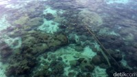 Anambas memiliki pulau dan alam bawah laut nan indah.