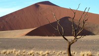 Skeleton Coast merupakan garis pantai sepanjang 500 km dengan padang pasir, rawa, dan sungai yang seolah membentenginya. Hal inilah yang membuat perjalanan ke sana sangat sulit ditempuh (Dok. Skeleton Coast Safaris)