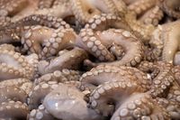 Hati-Hati! Konsumsi 13 Makanan Berbahaya di Dunia Ini Bisa Sebabkan Sakit hingga Kematian (1)