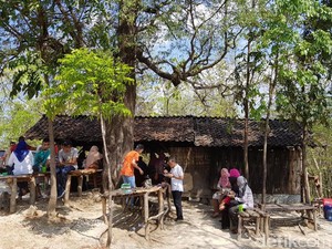 Warung Semok Mbak Sumi di Hutan Jati Fenomenal, ini Ceritanya
