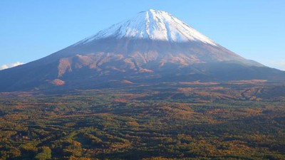 Foto: Hutan Bunuh Diri di Jepang