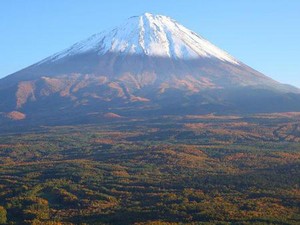 Liburan ke Jepang, Ini Rekomendasi Destinasinya!