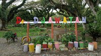 Foto: De Djawatan berada di Desa Benculuk, Kecamatan Cluring, Banyuwangi. Objek wisata ini menawarkan sensasi hutan seperti dalam film Lord of The Rings (Ardian Fanani/detikTravel)