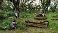 Foto: Objek wisata yang baru dibuka ini pun menjadi tempat baru wisatawan untuk mengabadikan foto (Ardian Fanani/detikTravel)