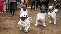 Sejumlah anak mengikuti lomba balap karung di Ngasem, Boyolali, Jawa Tengah, Kamis (10/8). Perlombaan tersebut untuk memperingati HUT ke-72 RI. ANTARA FOTO/Maulana Surya/ama/17.