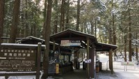 Foto: Tetapi, ada saja turis yang penasaran untuk trekking di Hutan Aokigahara. Biasanya, para pengunjung memulainya dari kawasan Kawaguchi (Daniele Hayashihara/Google Maps)