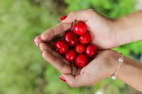 Hati-Hati! Konsumsi 13 Makanan Berbahaya di Dunia Ini Bisa Sebabkan Sakit hingga Kematian (1)