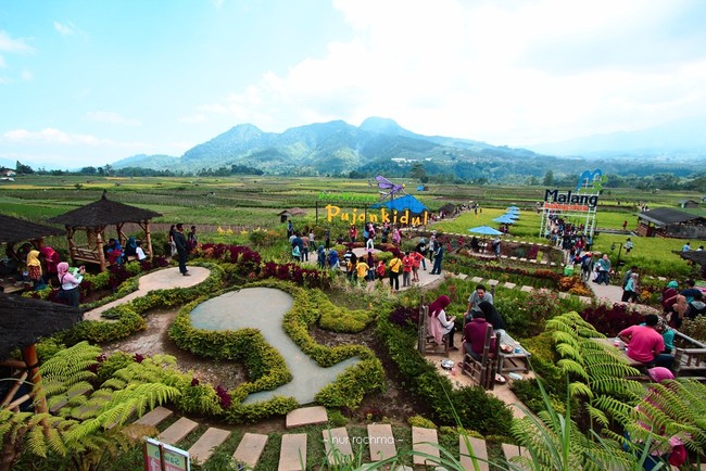 Jalan-jalan Ke Malang, Jangan Lupa Mampir ke 5 Resto dengan Panorama Cantik Ini