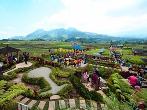 Jalan-jalan Ke Malang, Jangan Lupa Mampir ke 5 Resto dengan Panorama Cantik Ini