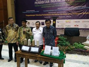 Varietas Padi Ini Tahan Hama, Hasil Produksinya 10 Ton/Hektar