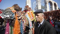 Unta nantinya akan dihiasi, semenarik mungkin untuk dinilai dewan juri/ Lucu ya? (Foto: Osman Orsal/REUTERS)