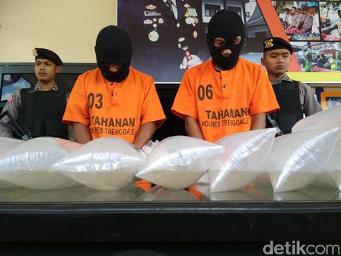 Penyelundupan benur diamankan/