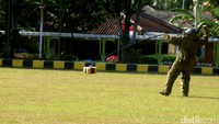 Namun setelah melumpuhkan anggota teroris dan menyelamatkan sandera, pasukan elit Denjaka menemukan bom yang diletakkan di lobi gedung Pertamina. Hingga akhirnya Tim Jihadak Denjaka diturunkan untuk mengamankan bom dan meledakkannya.