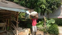 Ayah Eli, Sardi pulang dari mencari rumput untuk makan kambing. Sehari-hari, Sardi membantu tetangganya untuk menambah penghasilan keluarga.