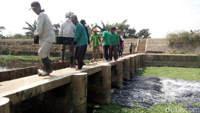 Hasil Laboratorium, Sungai Pecangaan Jepara Tercemar Ringan