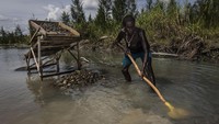 Menurut laporan, tambang Grasberg, yang dimiliki Freeport McMoRan, setiap harinya membuang 200.000 ton limbah tambang langsung ke sistem delta Aikwa. Ulet Ifansasti/Getty Images.