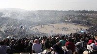 Di Turki terdapat festival unik, yang kegiatannya adalah perlombaan gulat unta (Foto: Osman Orsal/REUTERS)