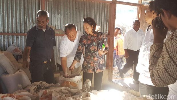 Rini Nikmati Kopi Wamena di Rumah Honai