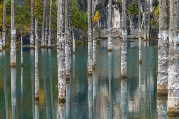 Selanjutnya, air terjun mengisi lembah tersebut dalam jangka waktu yang lama dan membuat lembahnya tenggelam. Pepohonan di sana pun terjebak hingga seperti yang terlihat sampai detik ini: hutan di dalam danau! (Thinkstock) Selanjutnya, air terjun mengisi lembah tersebut dalam jangka waktu yang lama dan membuat lembahnya tenggelam. Pepohonan di sana pun terjebak hingga seperti yang terlihat sampai detik ini: hutan di dalam danau! (Thinkstock)