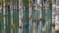 Selanjutnya, air terjun mengisi lembah tersebut dalam jangka waktu yang lama dan membuat lembahnya tenggelam. Pepohonan di sana pun terjebak hingga seperti yang terlihat sampai detik ini: hutan di dalam danau! (Thinkstock)