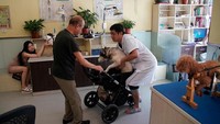 Klinik akupuntur ini telah berdiri selama 4 tahun (Aly Song/Reuters)
