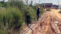 PT PLN (Persero) Wilayah Kalimantan Selatan dan Kalimantan Tengah (PLN Kalselteng) melistriki 10 desa di Provinsi Kalimantan Tengah (Kalteng). (Dok. PT PLN)