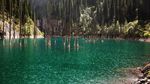 Foto: Bukan Ikan, Danau Ini Berisi Hutan