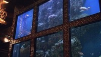 Luxis Aqua Bar & Restaurant menyediakan pengalaman bersantap mewah. Para tamu dapat menikmati pesta makan malam sambil menyaksikan ikan dalam akuarium besar di restoran tersebut. Foto: Istimewa