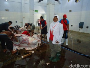 RPH Blitar Siap Sembelih Hewan Kurban Gratis
