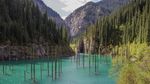 Foto: Bukan Ikan, Danau Ini Berisi Hutan