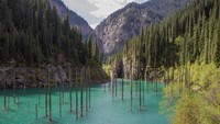 Mengapa bisa ada hutan di dalam danaunya? Sejarahnya begini, di tahun 1911 terjadi gempa bumi yang dahsyat sampai menimbulkan tanah longsor dan membuat lembah. Di dalam bendungannya masih terdapat beberapa pohon rimbun. (Thinkstock)