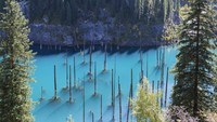 Pepohonan di sana adalah pohon cemara. Terlihat sangat menawan sekaligus ajaib, batang-batang pohhon cemara berdiri tegak seolah muncul dari dalam air. (Thinkstock)