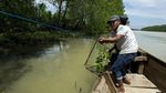 Mencari Tuntong Laut Aceh, Salah Satu Reptil Terlangka di Dunia