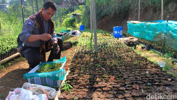 Bah Nunuh, Polisi Cinta Alam di Bandung yang Dijuluki 'Manusia Pohon'