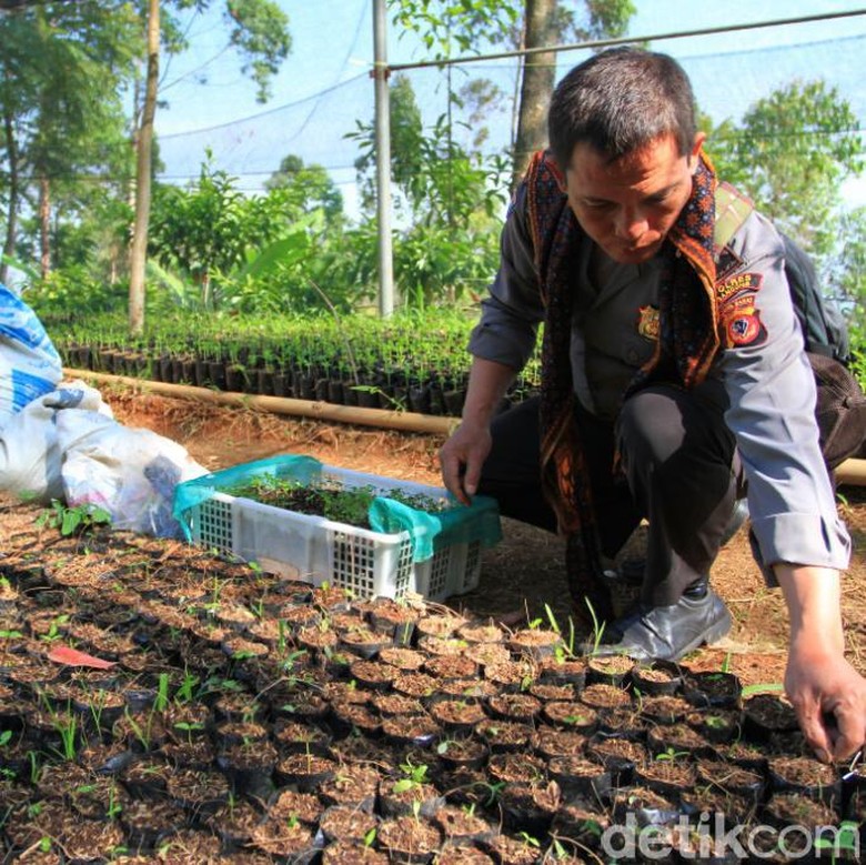 Bah Nunuh, Polisi di Bandung yang Dijuluki 'Manusia Pohon'