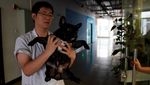 Foto: Akupuntur Khusus Kucing dan Anjing