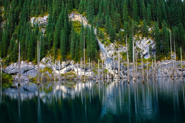 Di dalam danau bukan berisi ikan, melainkan berisi puluhan pepohonan yang rimbun. Seperti ada hutan di dalam danau. (Thinkstock) Di dalam danau bukan berisi ikan, melainkan berisi puluhan pepohonan yang rimbun. Seperti ada hutan di dalam danau. (Thinkstock)