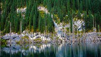 Di dalam danau bukan berisi ikan, melainkan berisi puluhan pepohonan yang rimbun. Seperti ada hutan di dalam danau. (Thinkstock)