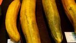 Wow, Ini Penampakan 10 Buah dan Sayur Raksasa Terbesar di Dunia