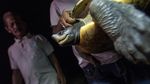 Mencari Tuntong Laut Aceh, Salah Satu Reptil Terlangka di Dunia