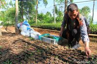 Bah Nunuh, Polisi Cinta Alam di Bandung yang Dijuluki 'Manusia Pohon'