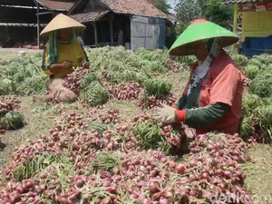 Pemkab Brebes Diminta Kontrol Penggunaan Pestisida oleh Petani