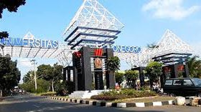 undip
