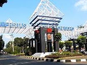 Undip Sediakan 5.089 Kursi untuk Seleksi Mandiri, Ini Daftar Lengkapnya